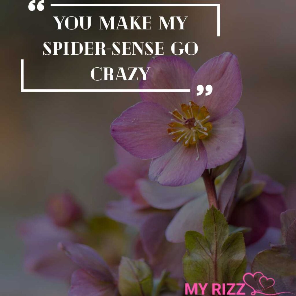 Spiderman Rizz Lines