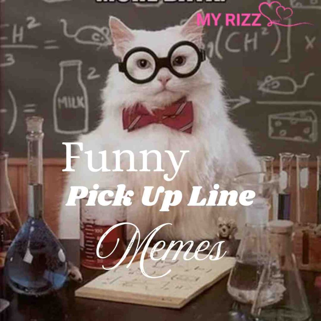 Pick Up Line Memes